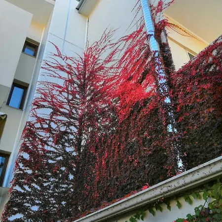 公寓 Giorgos Sea View *